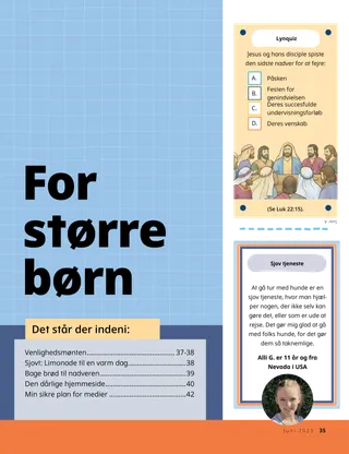 Pdf-udgave af beretning