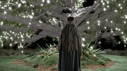 Lehi and the tree of life