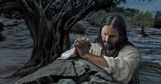 Jesus Christ praying in Gethsemane