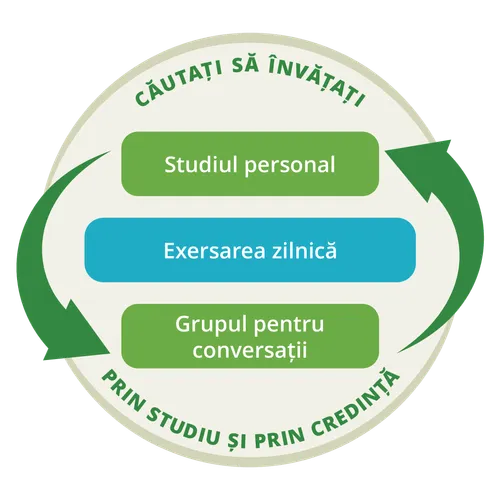 Diagramă care arată că studiul personal și grupul pentru conversații sunt un proces ciclic.