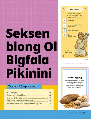 Stori PDF