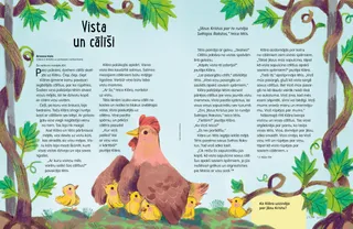 Stāsts PDF formātā