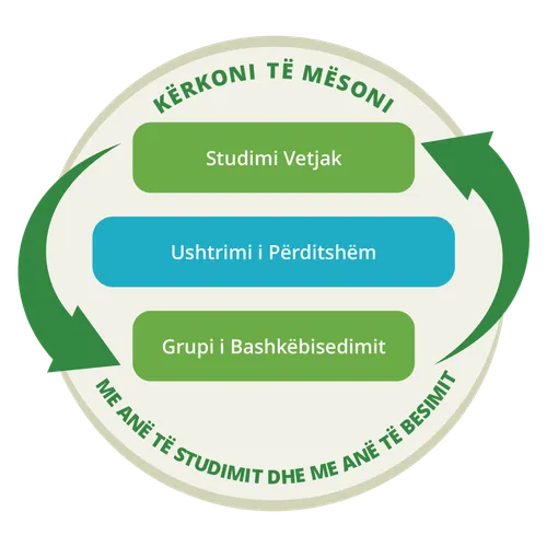 grafik që tregon se studimi vetjak dhe grupi i bashkëbisedimit është një proces ciklik