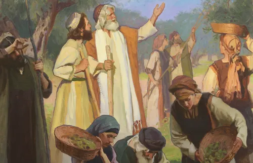 Lord of the Vineyard