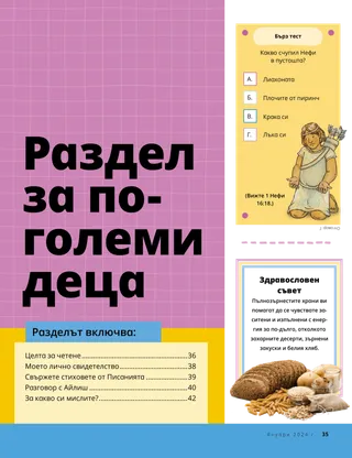 История в PDF формат