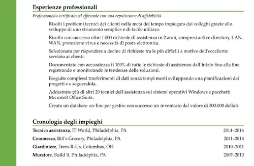 good résumé example