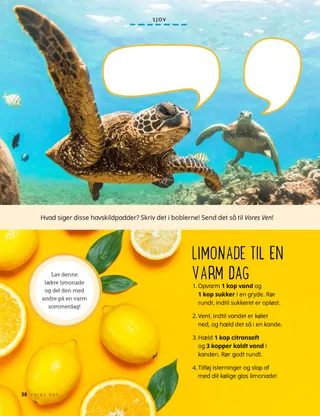 Foto af skildpadder og citroner