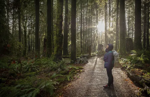woman hiking in forest during rainfall