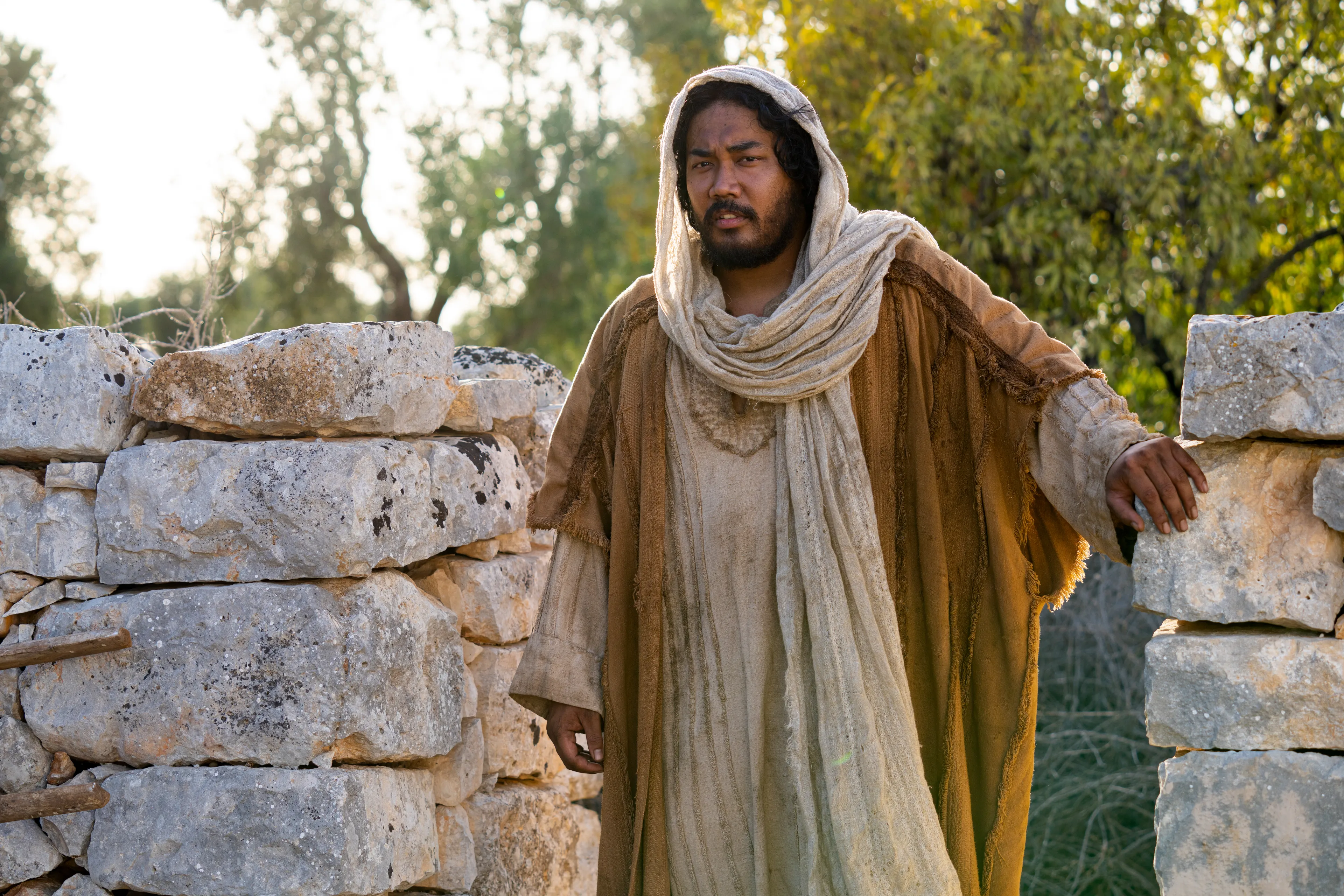 The Lord of the Vineyard leaves the gate to find his servant maintaining tools. This is part of the olive tree allegory mentioned in Jacob 5.