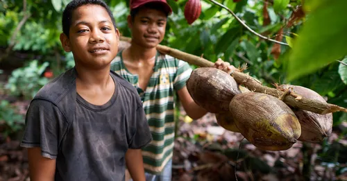 Two young men in a tropical forest.