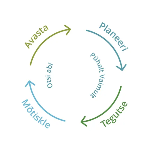 avasta, planeeri, tegutse, mõtiskle