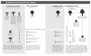 fanoharana mikasika ilay hazo oliva