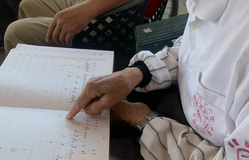 person looking at family records