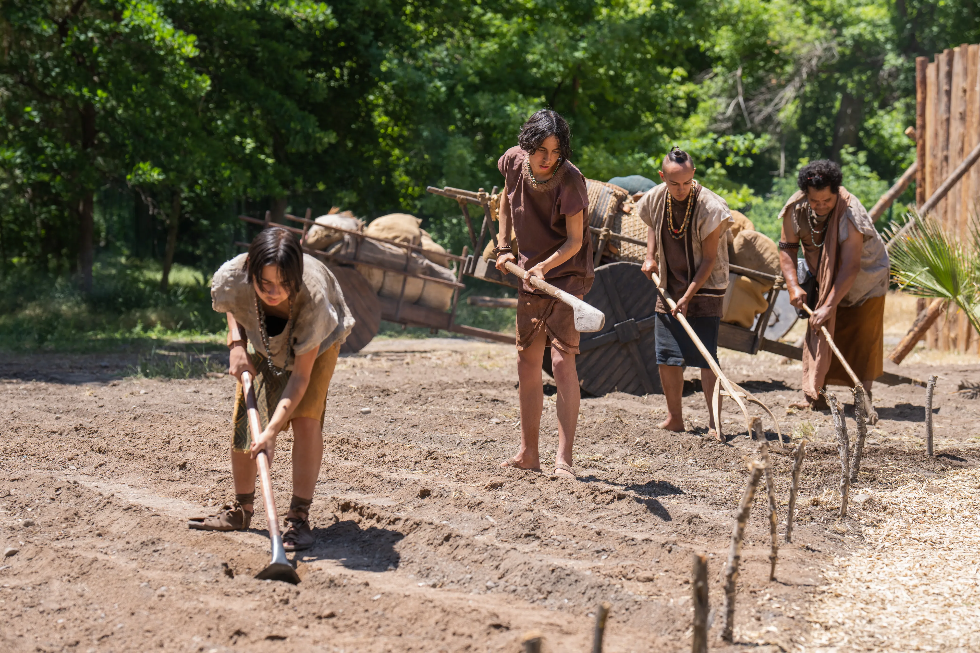 Young men in the Land of Helam till the ground before seeing the Lamanites approaching.