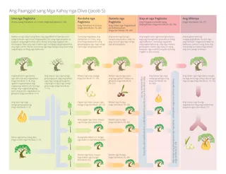 tsart nga nagapaathag sang paanggid sang kahoy nga olivo