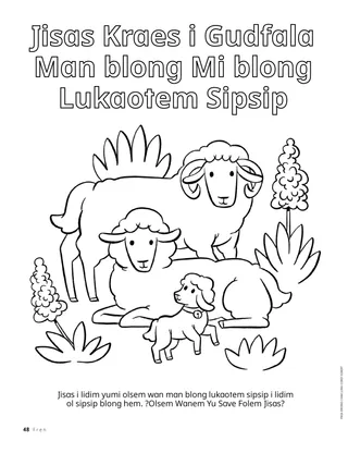 Pej blong kalarem blong sipsip