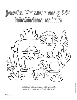 Litasíða af sauðum