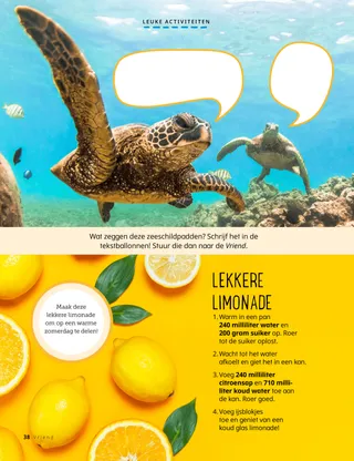 Foto van schildpadden en foto van citroenen