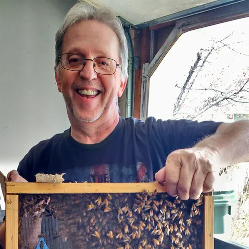 man with some bees