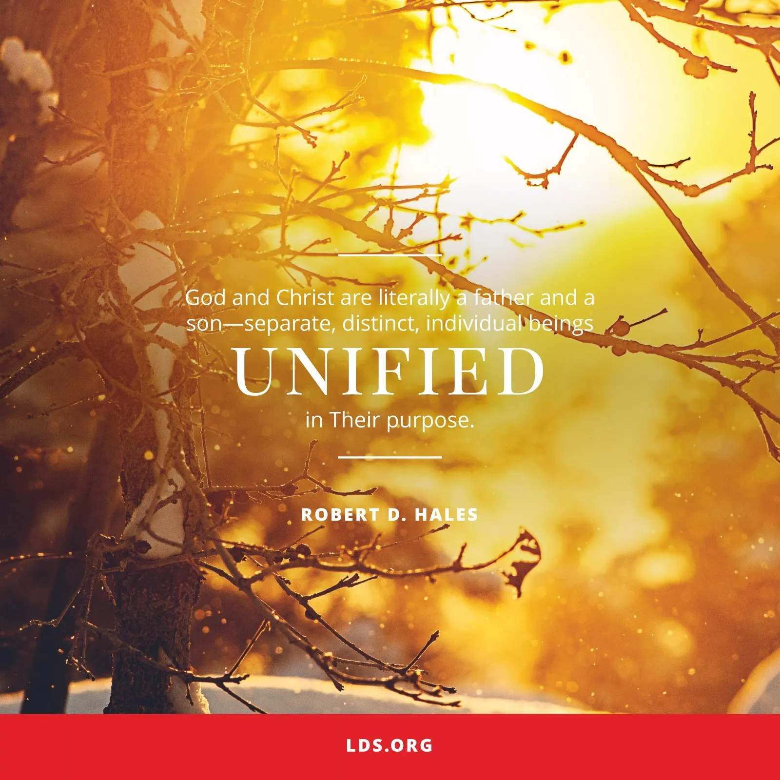 “God and Christ are literally a Father and a Son—separate, distinct, individual beings unified in Their purpose.”—Elder Robert D. Hales, “Eternal Life—to Know Our Heavenly Father and His Son, Jesus Christ” © undefined ipCode 1.