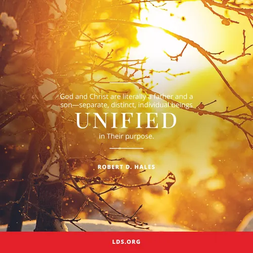An image of the sunset in the winter, coupled with a quote by Elder Robert D. Hales: “God and Christ are literally a Father and a Son.”