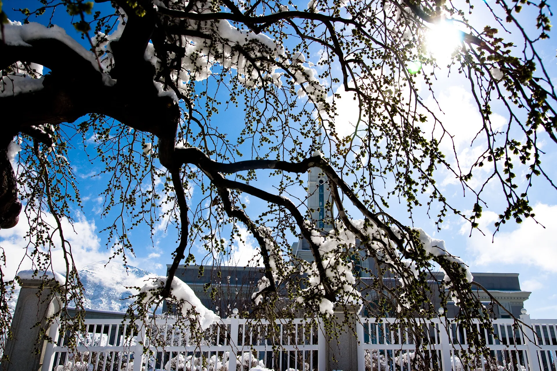 The Mount Timpanogos Utah Temple, including scenery.