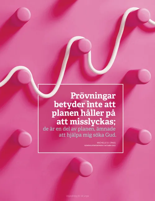 affisch med citat av Craig