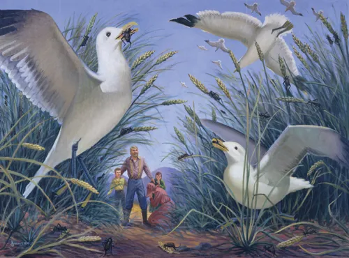 A painting by Goff Dowding of large seagulls flying into a wheat field and eating the crickets, with a family praying and watching nearby.