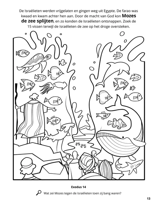 Pdf met kleurplaat van de splijtende Schelfzee met een verscheidenheid aan vissen om in te kleuren