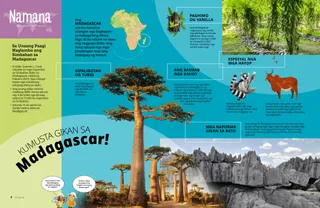 Pahina nga PDF nga adunay gamay nga mapa sa Africa ug mga imahe sa baobab nga mga kahoy, mga naporma gikan sa bato, vanilla nga mga tanom, usa ka lemur, ug usa ka zebu