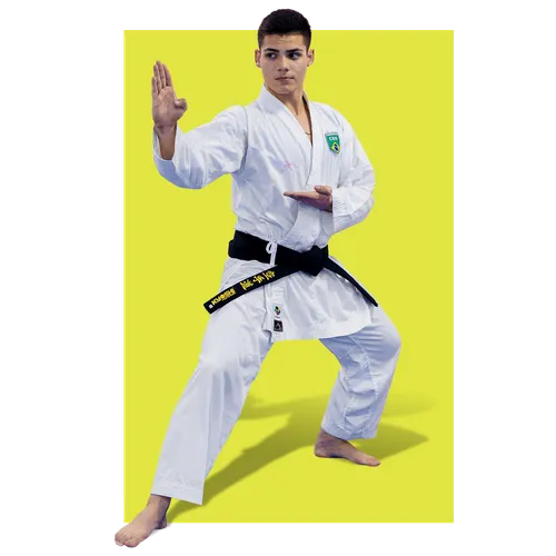 young man doing martial arts