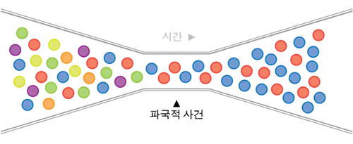 개체군 병목현상 도해