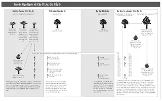 câu chuyện ngụ ngôn về cây ô liu