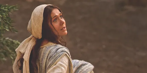 Mary learns of Christ’s birth