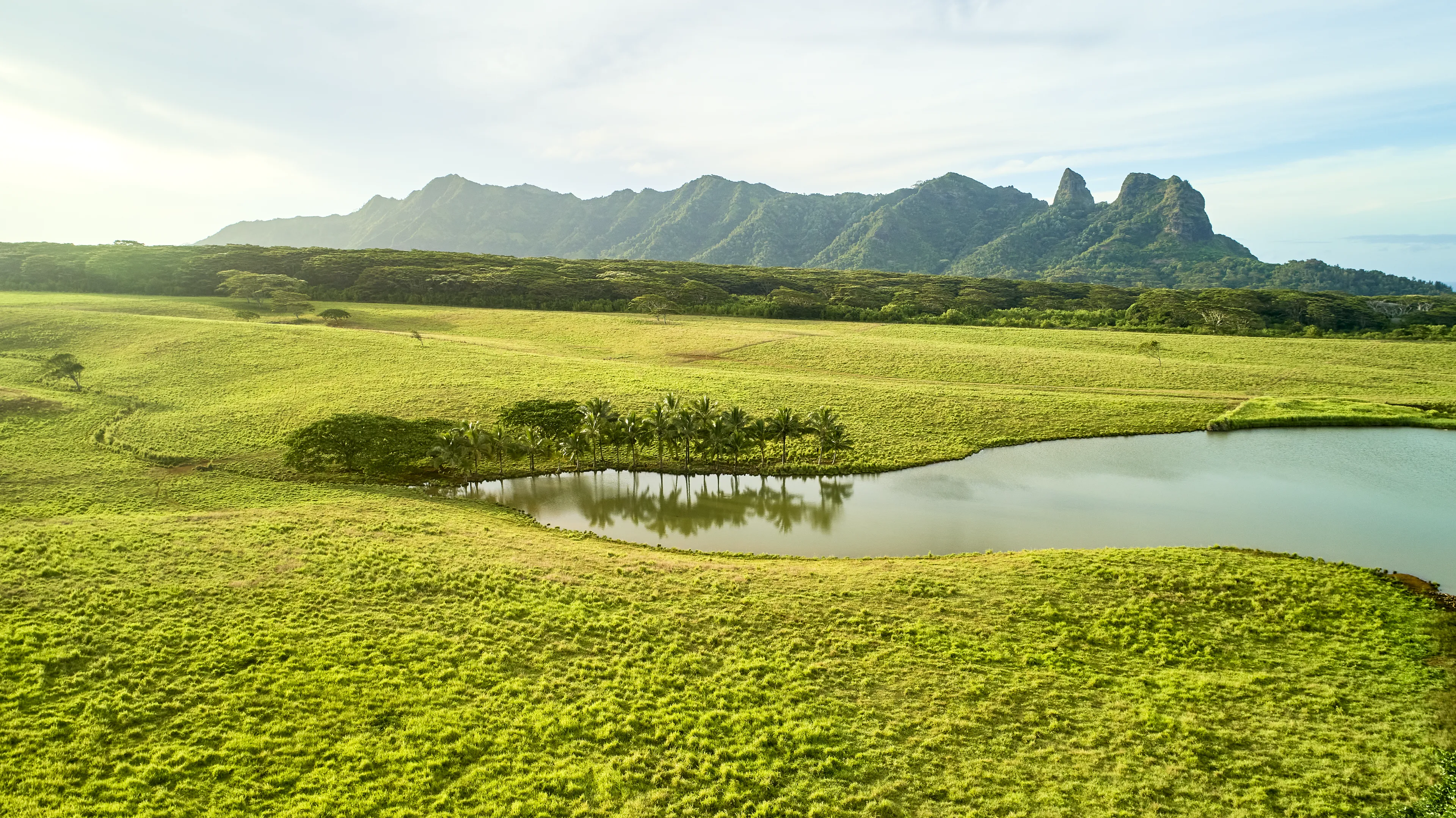 The waters of Sebus in the land of Ishmael.