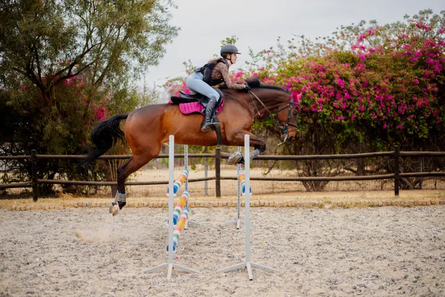 A young woman rides her horse. They are practicing jumping. This is in South Africa.