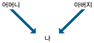 혈통에 대한 도표