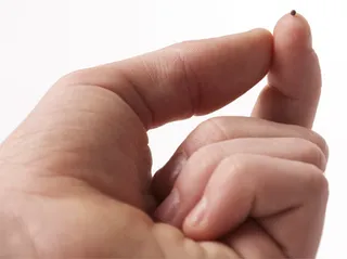 hand with mustard seed on finger