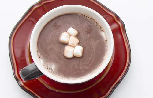 cup of hot chocolate