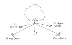tree with supporting stakes