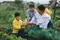 A mother from Ecuador kneeling in a garden with her two sons and carrying another child on her back.