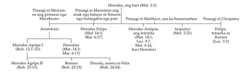 diagram sa pamilya ni Herod