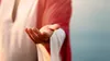 Jesus Christ reaching out his hand