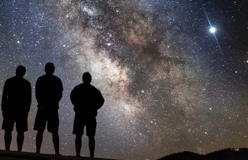 People looking up at the stars