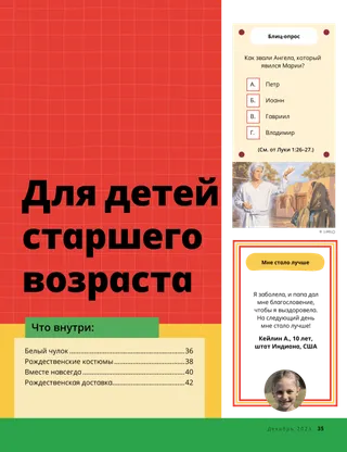История в формате PDF