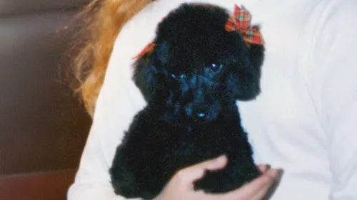 The Renlunds’ dog Lady