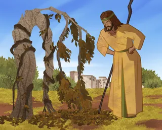 Jonah looking at dead tree