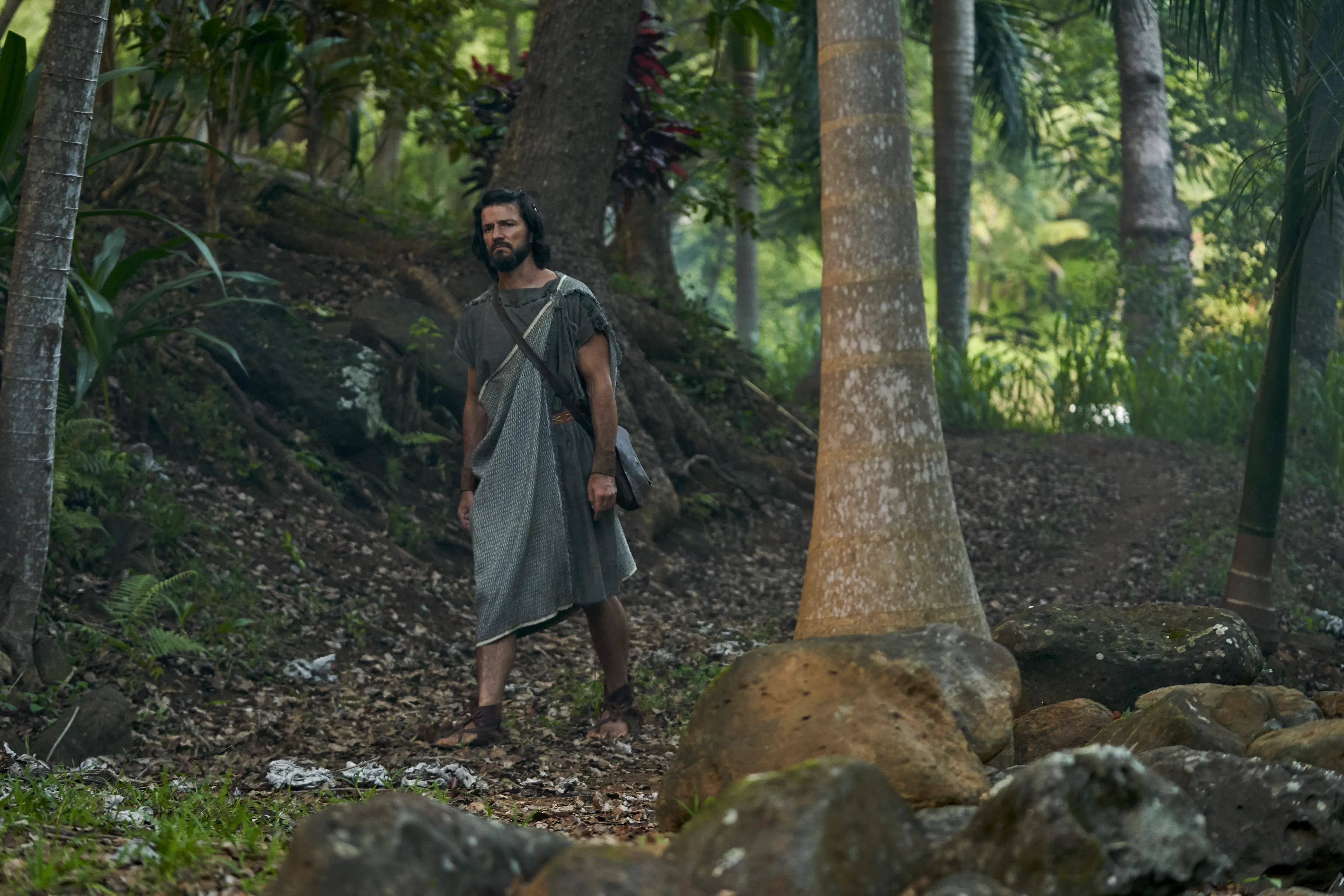 Alma the Younger walks through the woods after being thrown out of the city of Ammonihah.