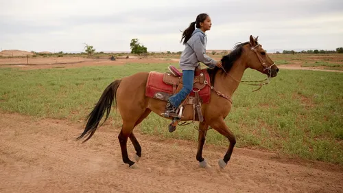 someone riding a horse