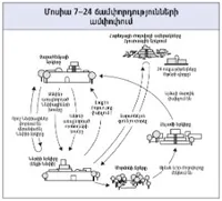 ճամփորդությունների գծապատկերը